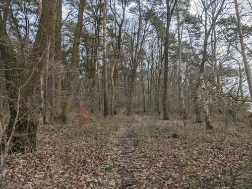 Von Achim-Borstel zum Wittkoppenberg