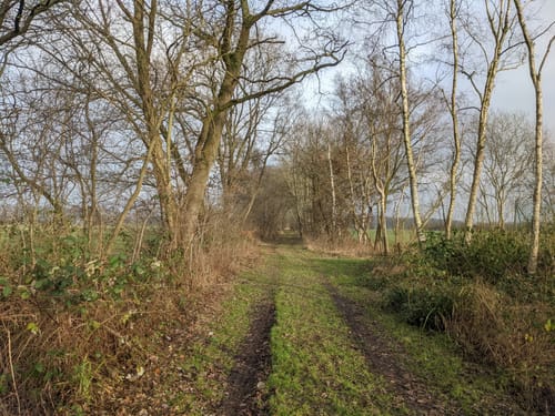Von Achim-Borstel zum Wittkoppenberg
