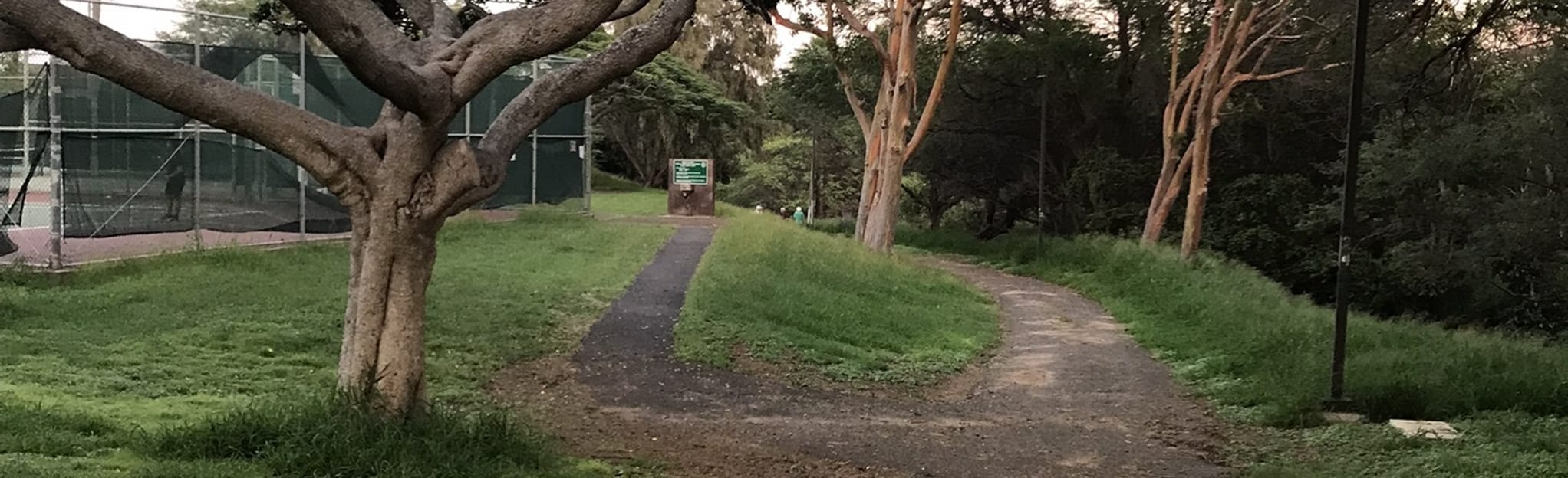 Kahului Community Center Loop, 5 Fotos Maui, Hawaii AllTrails