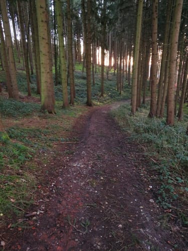 Am Roßbach bei Kumhausen