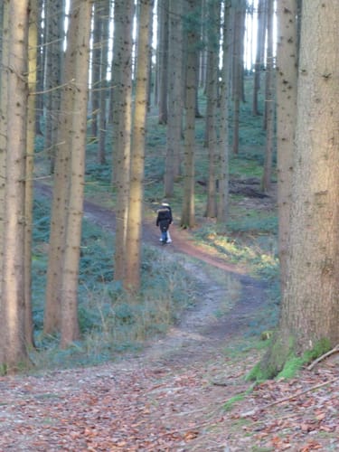 Am Roßbach bei Kumhausen