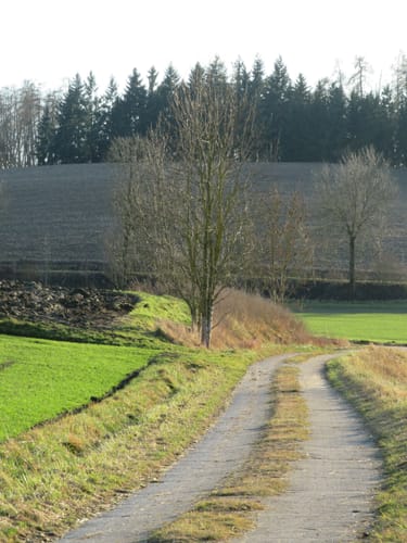 Am Roßbach bei Kumhausen