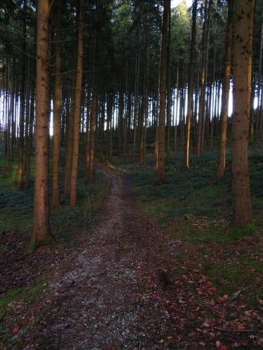 Am Roßbach bei Kumhausen