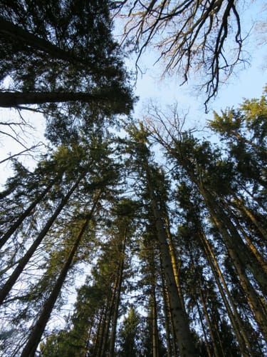 Am Roßbach bei Kumhausen