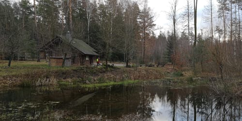 Dresdner Heide zwischen Langebrück und Weißer Hirsch