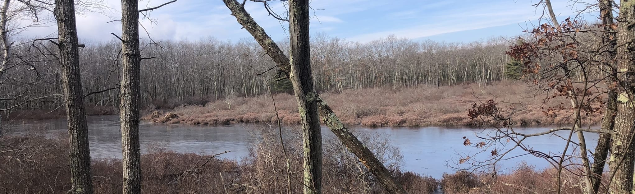 Mine Brook Wildlife Management Area, Massachusetts 18 Reviews, Map AllTrails