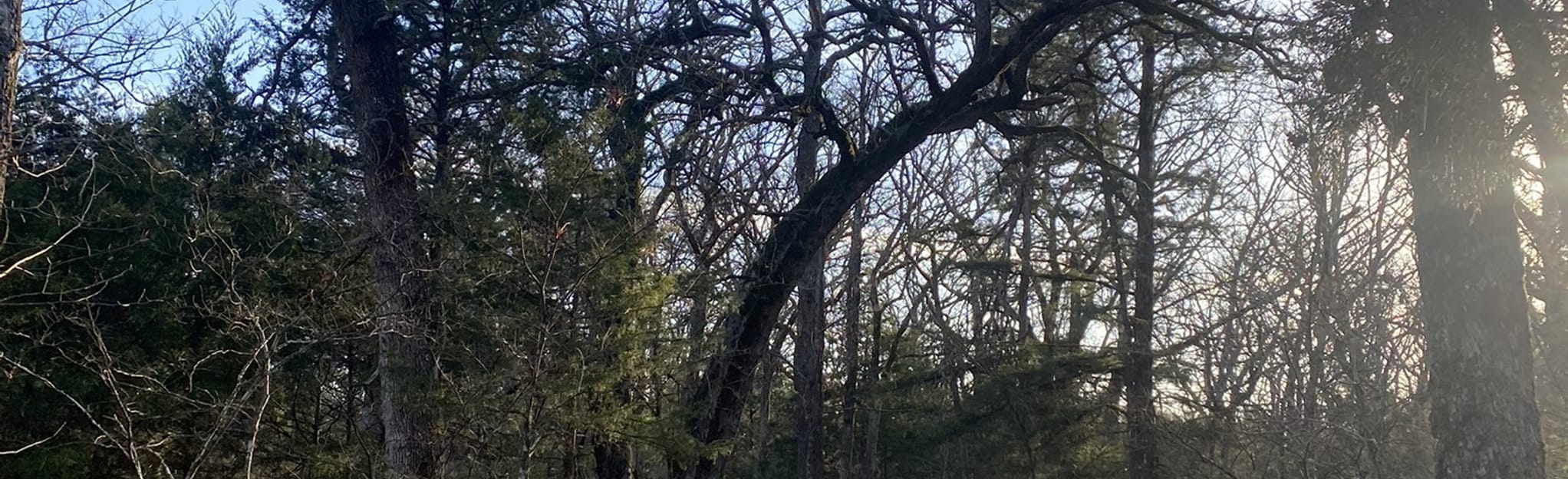 AllTrails Boggy Depot Nature Trail 22 Reviews, Map Oklahoma