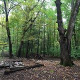 Verkeerderkill Park Loop, New York - 53 Reviews, Map | AllTrails