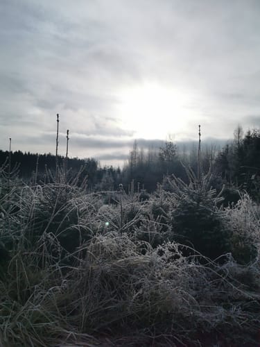 Petershausen nach Jetzendorf