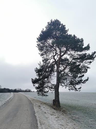 Petershausen nach Jetzendorf