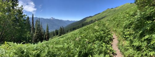 are dogs allowed in glacier peak wilderness