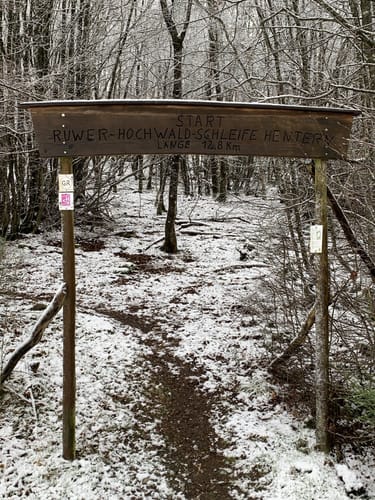 Ruwer-Hochwald-Schleife (Traumschleife)