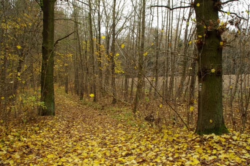 Pausa: Thierbacher Teich & Sandberg