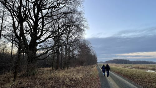 Innerer Oberspreewald Forstweg - Nordumfluter