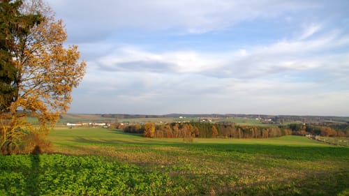 Pausa - Meltheuer - Unterpirk