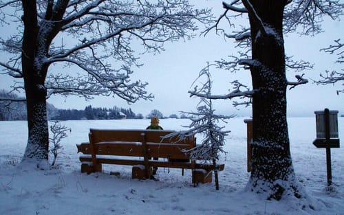 Pausa - Wallengrün - Pöllwitz