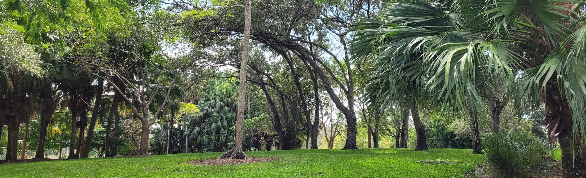 Peace Mound Park Loop | Map, Guide - Florida | AllTrails
