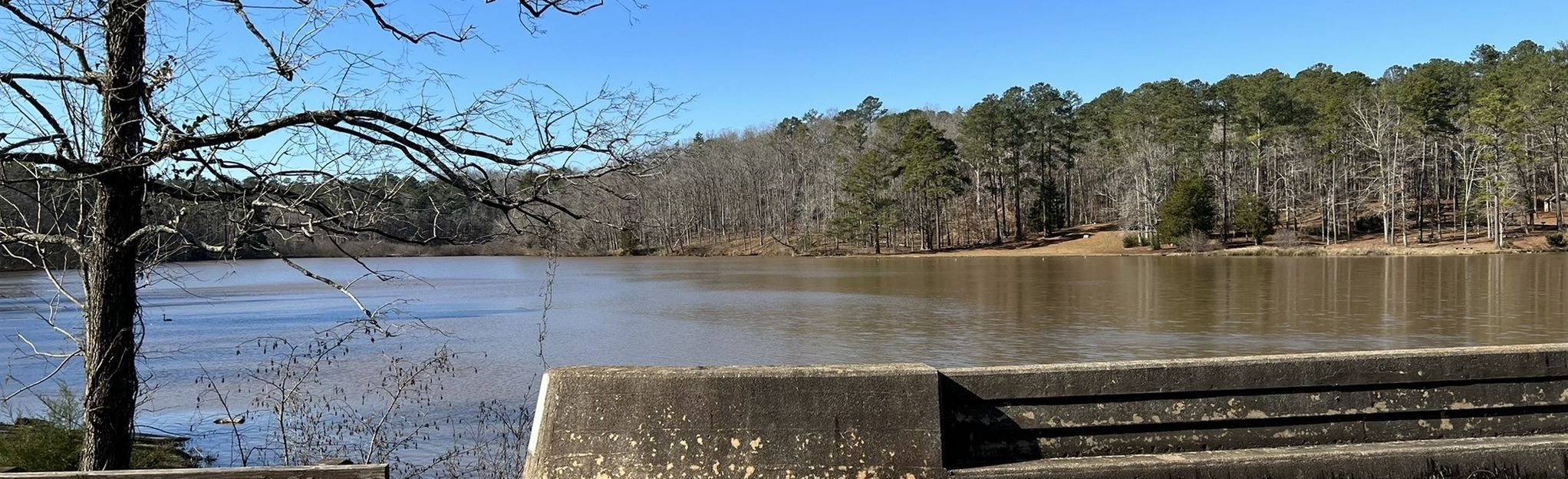 Parson's Mountain Lake and Lookout Tower: 73 Reviews, Map - South ...