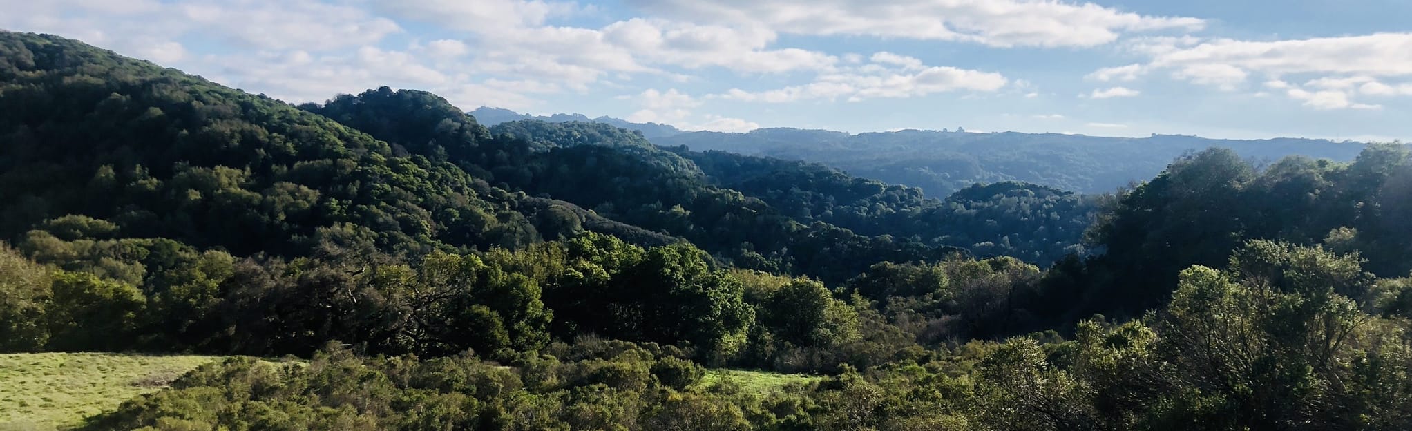 Sobrante Ridge Trail, California 117 Reviews, Map AllTrails