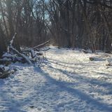 Van Cortlandt Park Trail, New York - 319 Reviews, Map