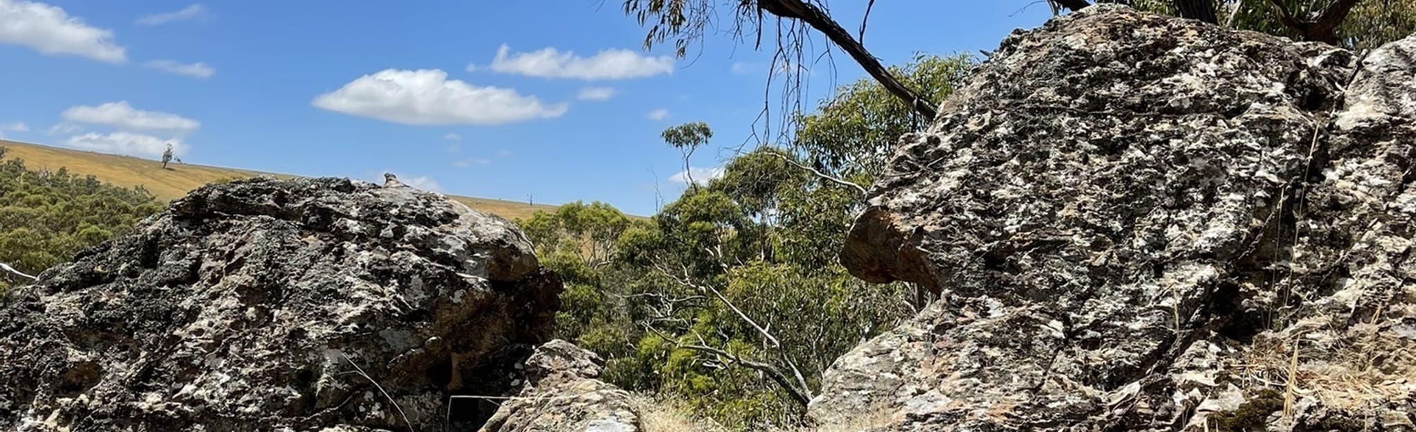 Lal Lal Blast Furnace Circuit: 29 fotos - Vitória, Austrália | AllTrails