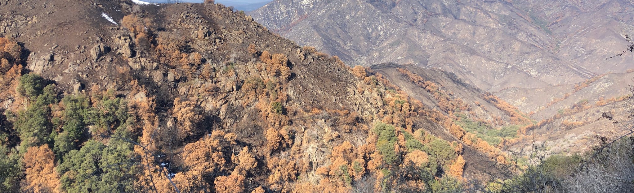 Old Colony Mill Road to Admiration Point [CLOSED], California - 31 ...