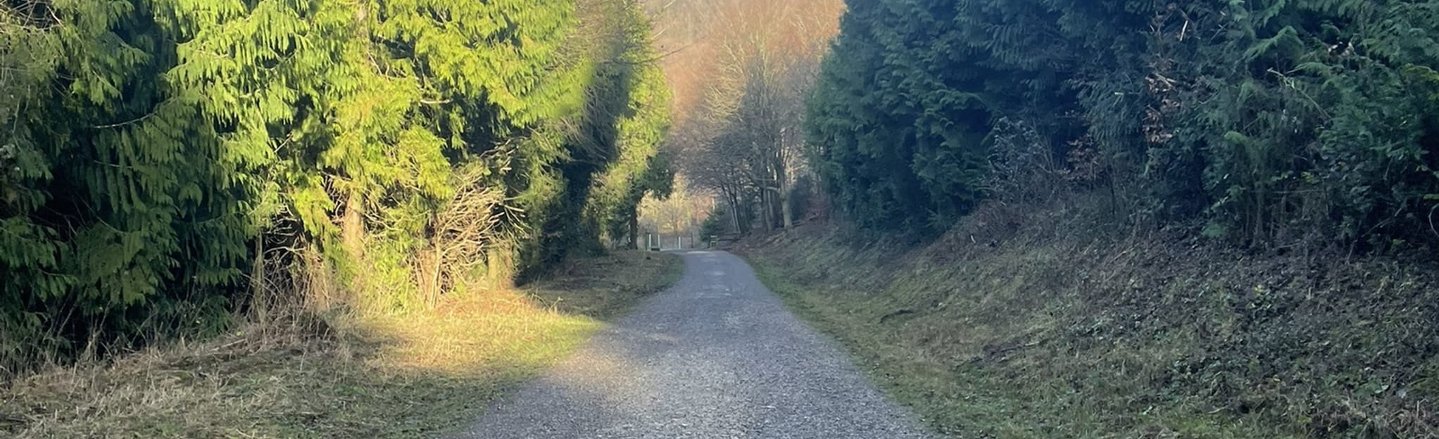 Gravel Hill and Queen Elizabeth Country Park Circular Mapa, Roteiro