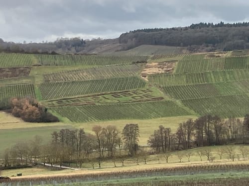 Panoramaweg Mülheim an der Mosel
