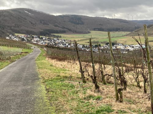 Panoramaweg Mülheim an der Mosel