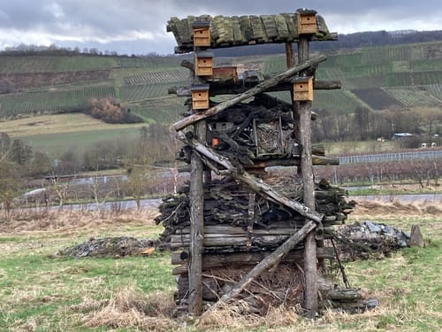 Panoramaweg Mülheim an der Mosel