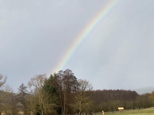 Panoramaweg Mülheim an der Mosel