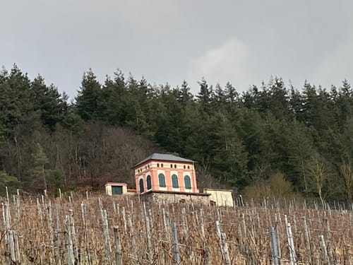 Panoramaweg Mülheim an der Mosel