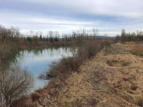 Petite Camargue Alsacienne via Neuweg