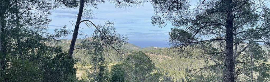 San Vicente de Sa Cala - Ses Tanquetes: 4 Reviews, Map - Ibiza, Spain |  AllTrails