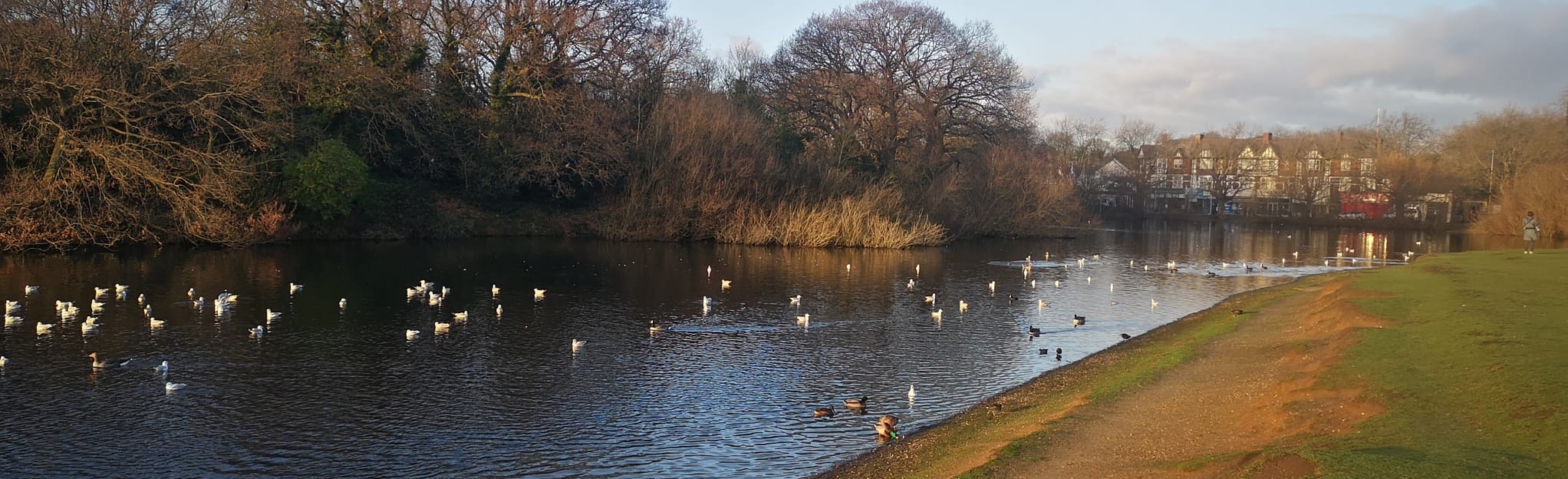 Wanstead Flats and Aldersbrook Circular, London, England 21 Reviews, Map AllTrails
