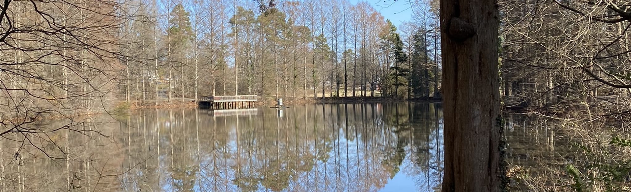 Keeley Park Loop 57 Reviews, Map North Carolina AllTrails