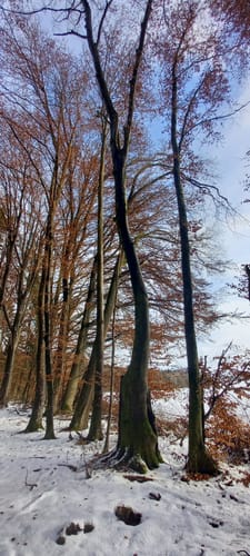 Rund um Hofstetten