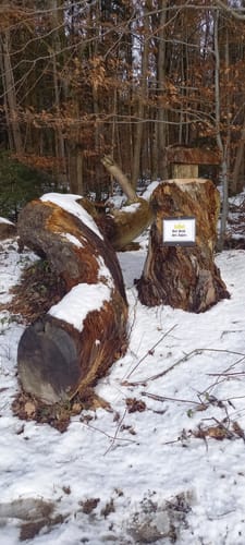 Rund um Hofstetten