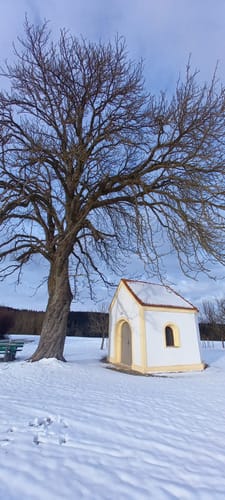 Rund um Hofstetten
