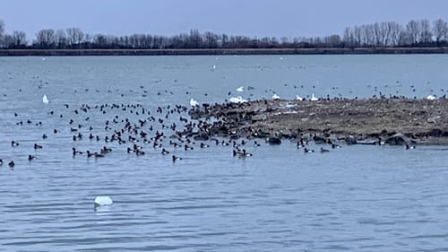 Neufinsing - Speichersee