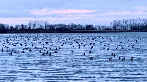 Neufinsing - Speichersee