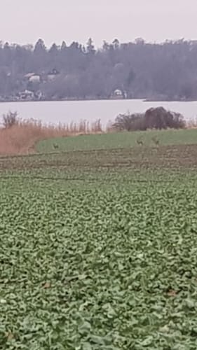 Um den Mündesee