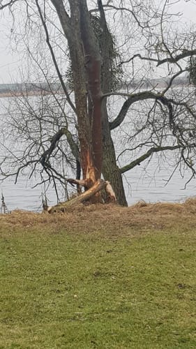Um den Mündesee