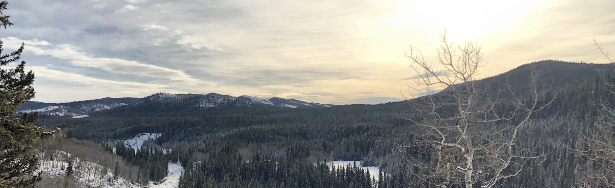 Sandy McNabb and Sheep Trail Loop, Alberta, Canada - 5 Reviews, Map ...