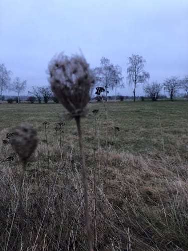 Bad Salzelmen Runde