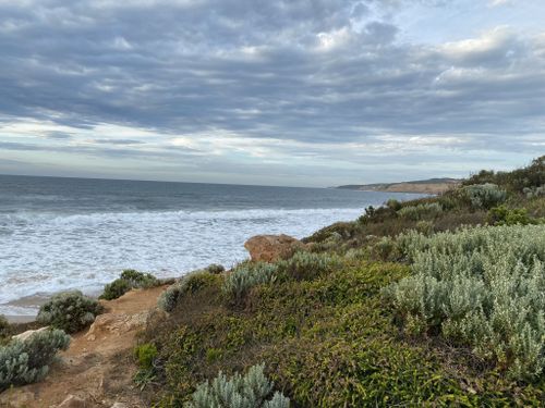 Best Hikes and Trails in Lorne Queenscliff Coastal Reserve | AllTrails