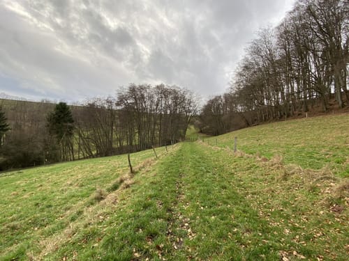 Rund um Mittelbrunn