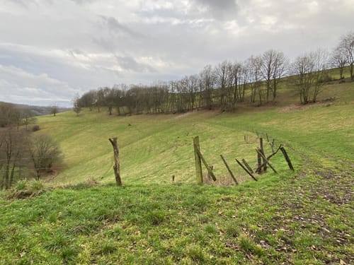 Rund um Mittelbrunn