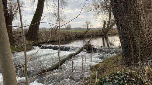 Rund um den Kronthaler Weiher