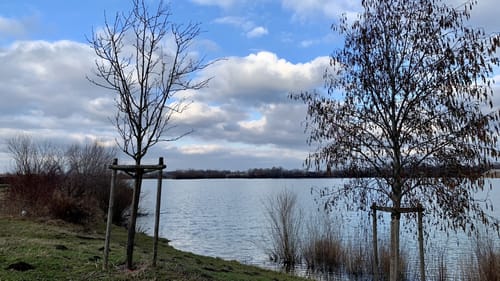 Rund um den Kronthaler Weiher